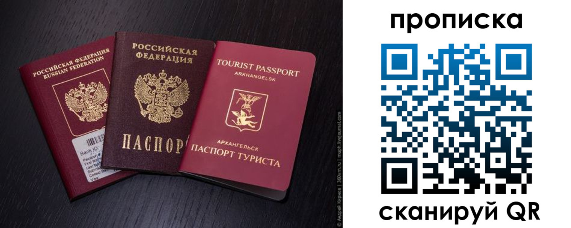 временная регистрация надежно в Отрадном